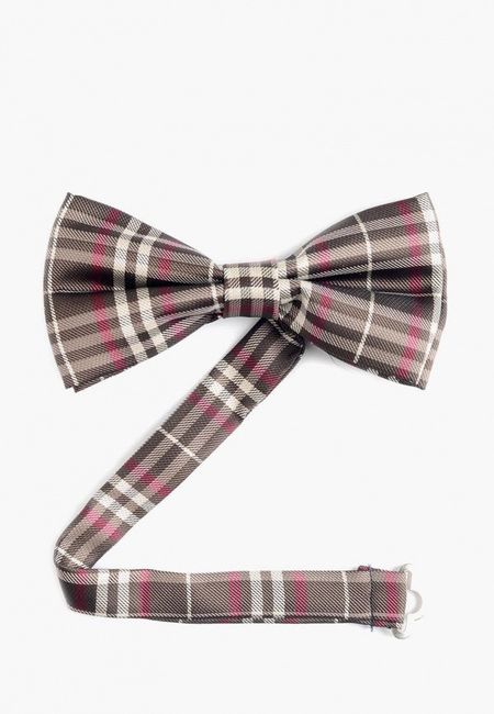 Галстук Quesste Галстук Quesste