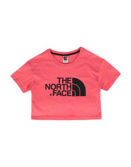 Футболка THE NORTH FACE