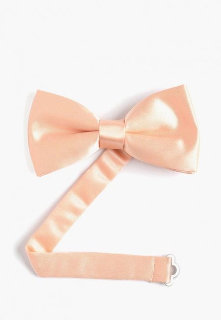 Галстук Quesste