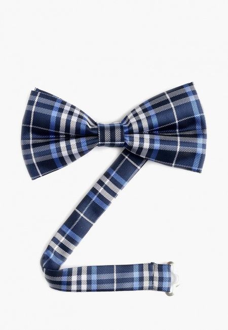 Галстук Quesste