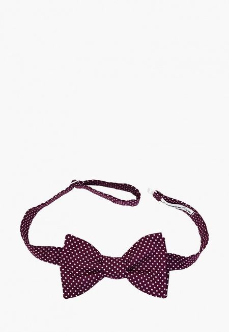 Галстук Rainbowtie