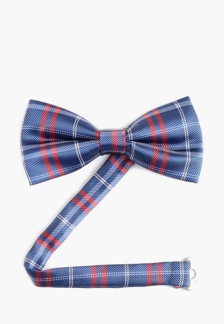 Галстук Quesste