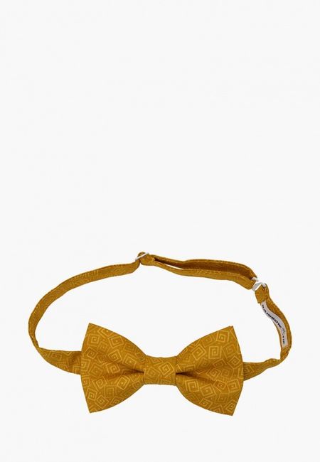 Галстук Rainbowtie